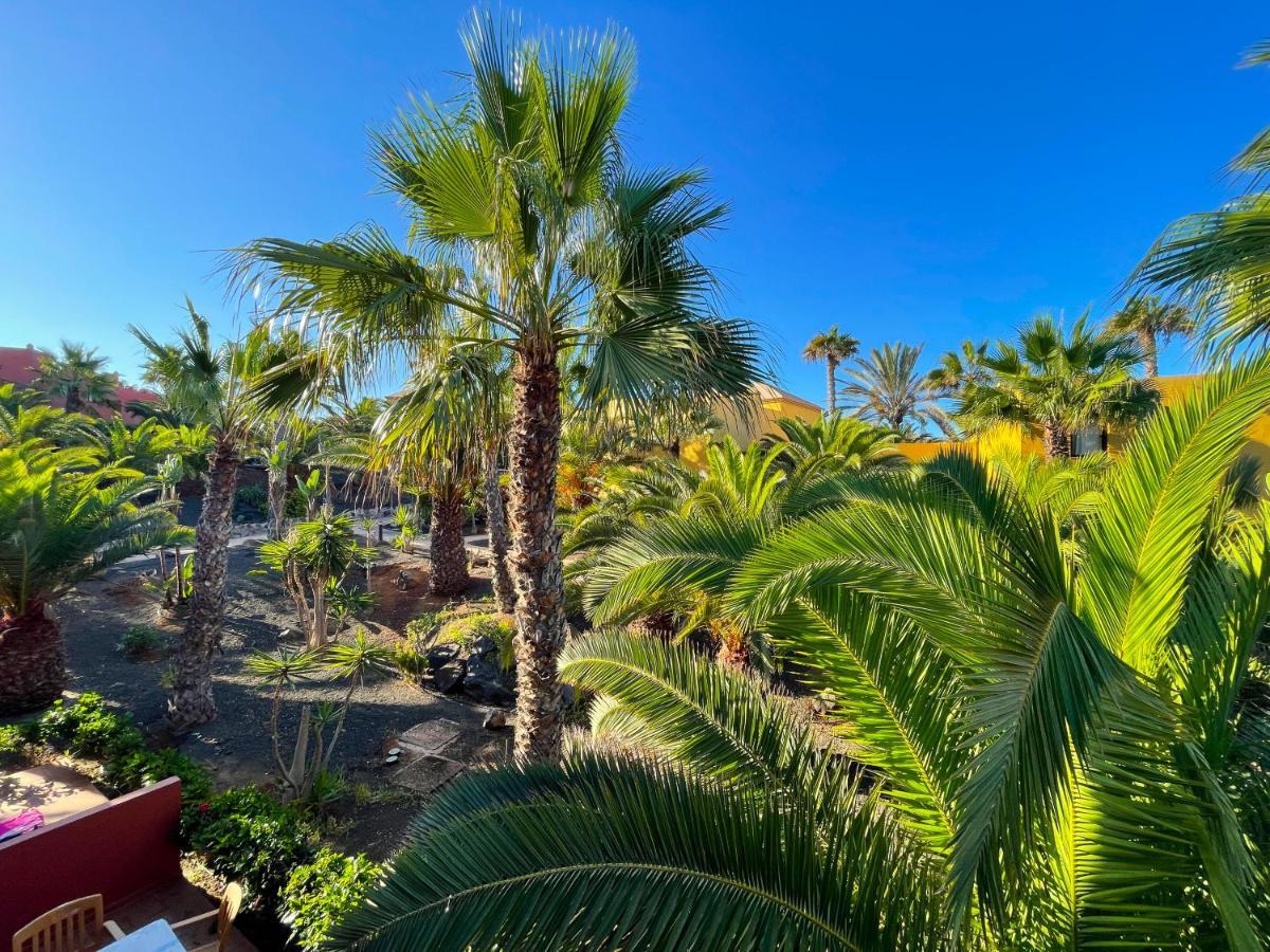 Oasis Tamarindo By Best Holidays Fuerteventura Κοραλέχο Εξωτερικό φωτογραφία