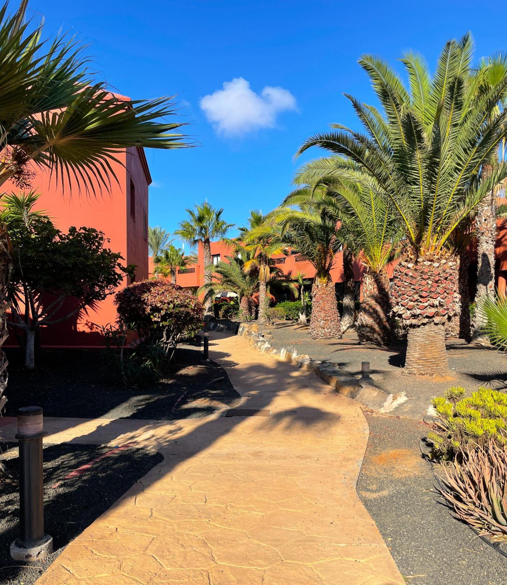 Oasis Tamarindo By Best Holidays Fuerteventura Κοραλέχο Εξωτερικό φωτογραφία