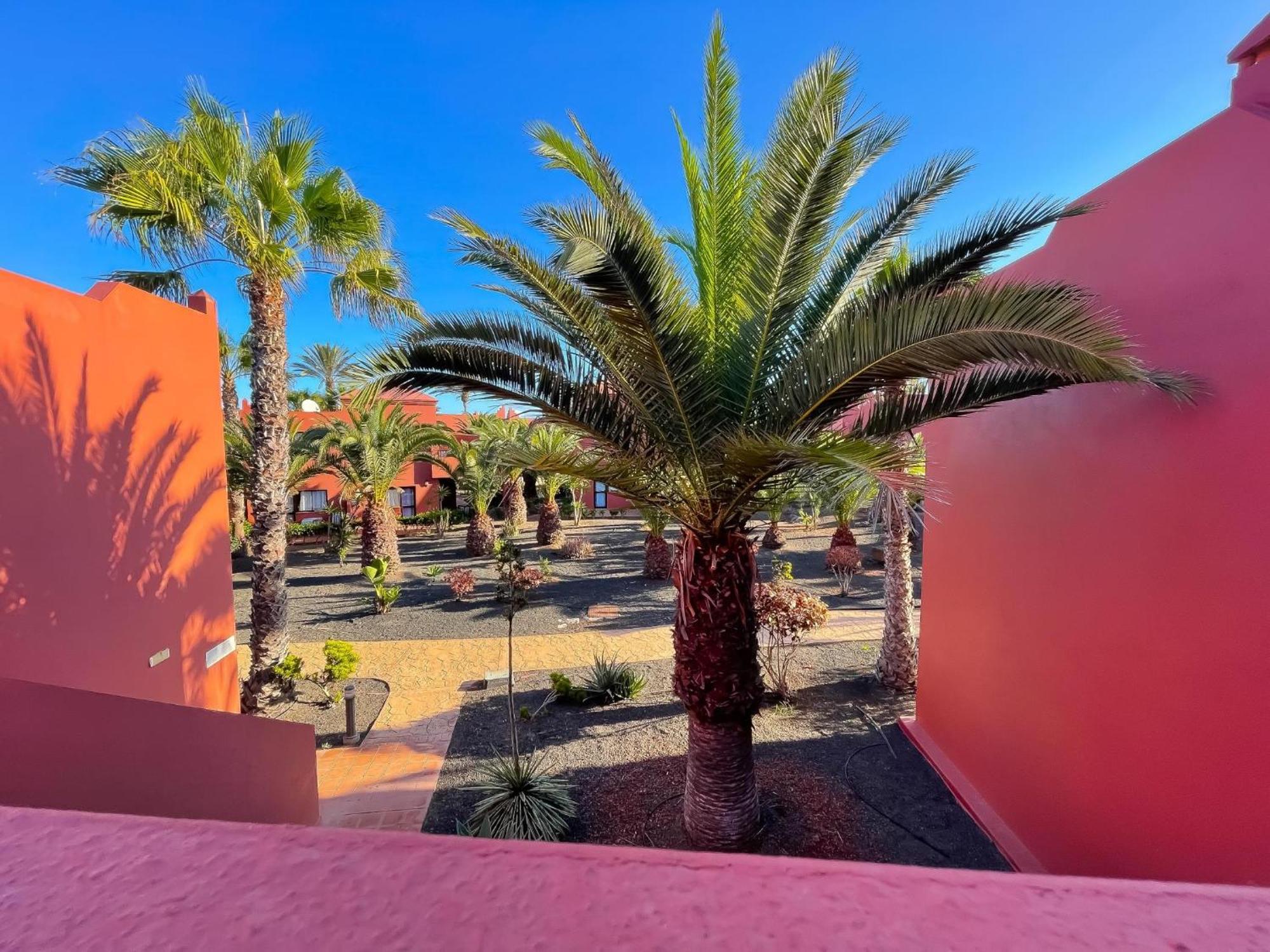 Oasis Tamarindo By Best Holidays Fuerteventura Κοραλέχο Δωμάτιο φωτογραφία